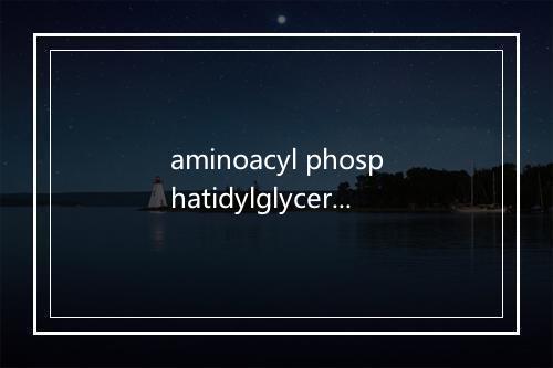 aminoacyl phosphatidylglycerol是什么意思