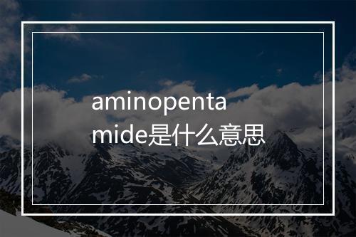 aminopentamide是什么意思