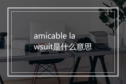 amicable lawsuit是什么意思