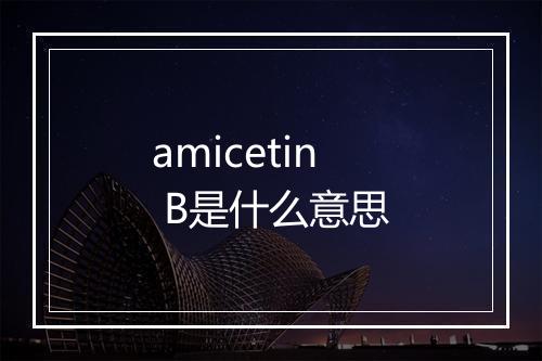 amicetin B是什么意思