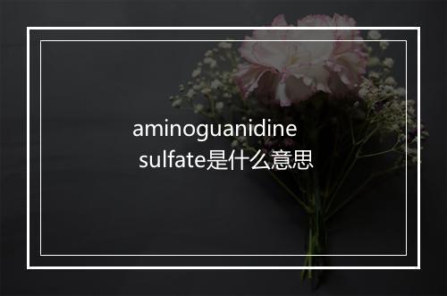 aminoguanidine sulfate是什么意思