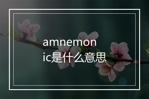 amnemonic是什么意思