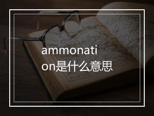 ammonation是什么意思