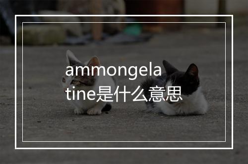 ammongelatine是什么意思