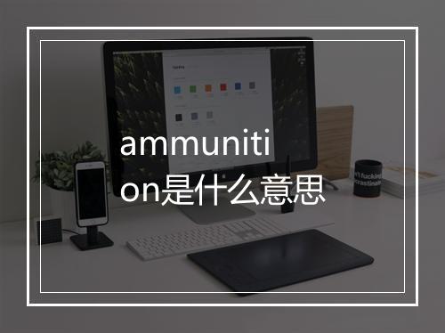 ammunition是什么意思