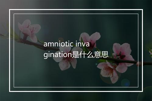 amniotic invagination是什么意思