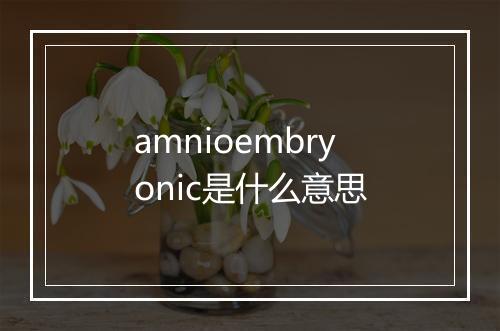 amnioembryonic是什么意思