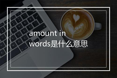 amount in words是什么意思