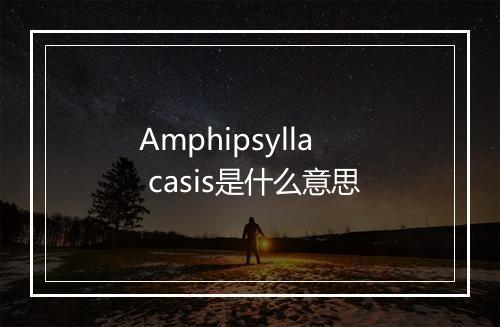 Amphipsylla casis是什么意思