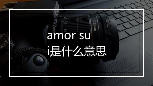 amor sui是什么意思