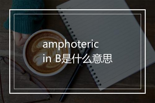 amphotericin B是什么意思