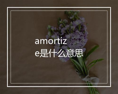 amortize是什么意思