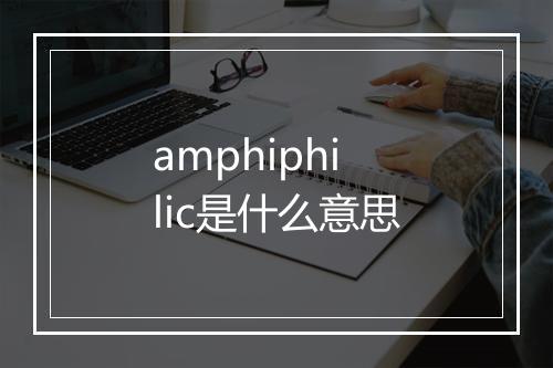 amphiphilic是什么意思