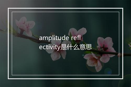 amplitude reflectivity是什么意思