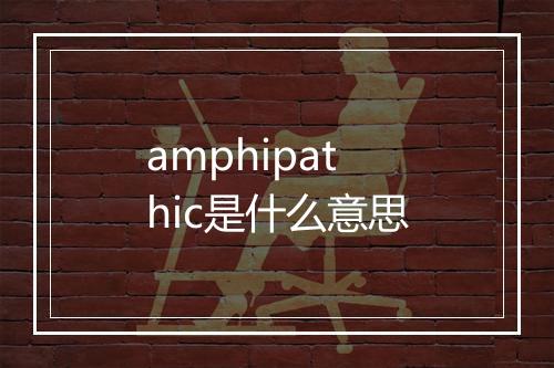 amphipathic是什么意思