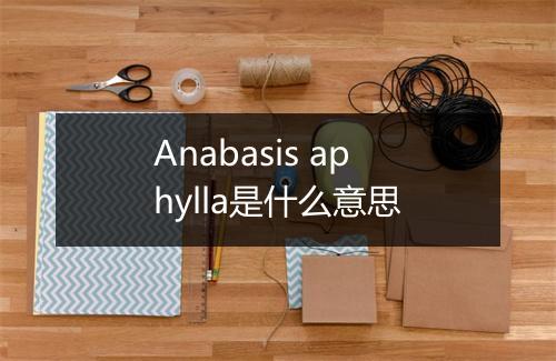 Anabasis aphylla是什么意思