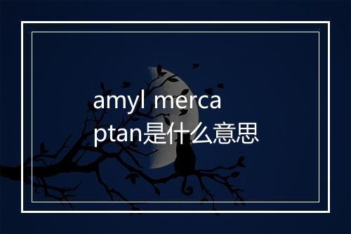 amyl mercaptan是什么意思