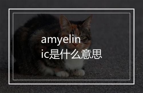 amyelinic是什么意思