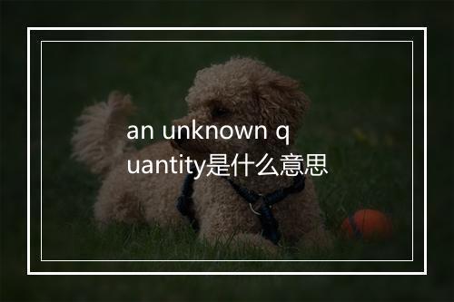 an unknown quantity是什么意思