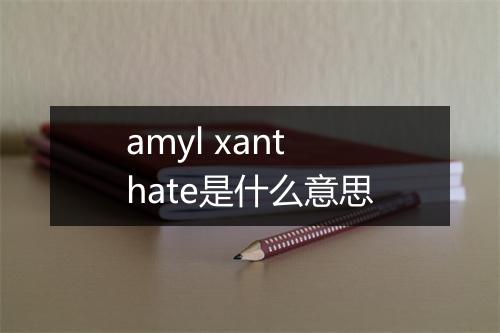 amyl xanthate是什么意思