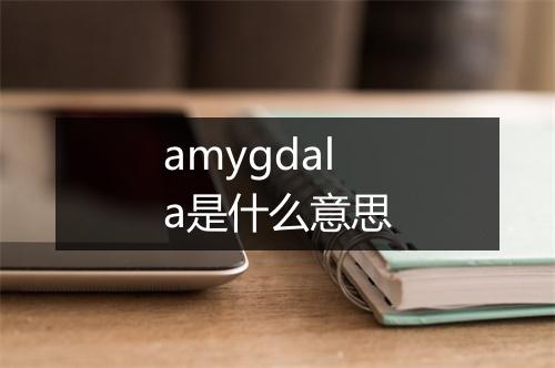 amygdala是什么意思