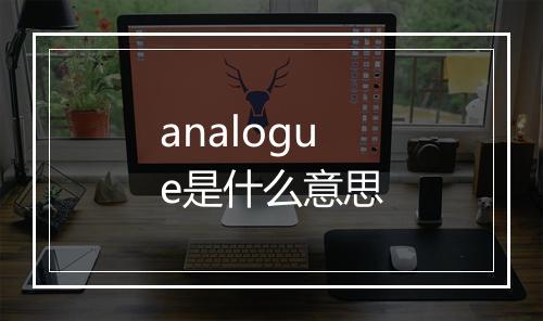 analogue是什么意思