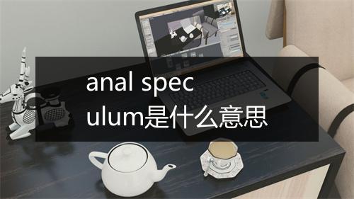 anal speculum是什么意思