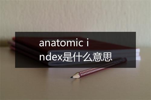 anatomic index是什么意思