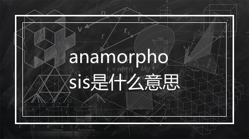 anamorphosis是什么意思