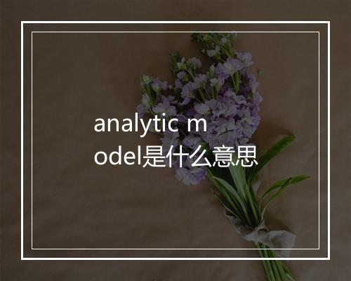 analytic model是什么意思