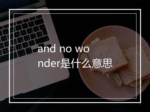 and no wonder是什么意思