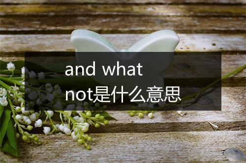 and what not是什么意思