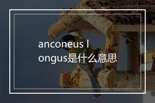 anconeus longus是什么意思