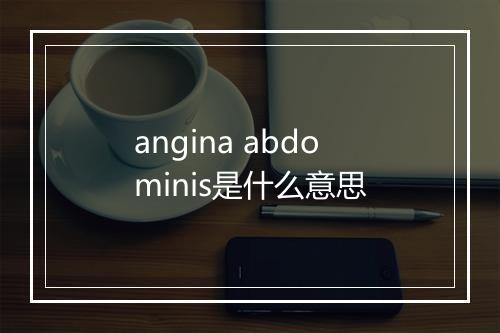 angina abdominis是什么意思