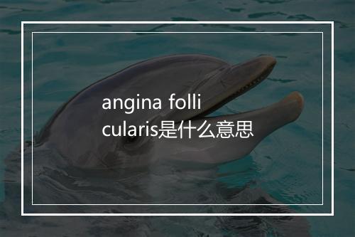 angina follicularis是什么意思