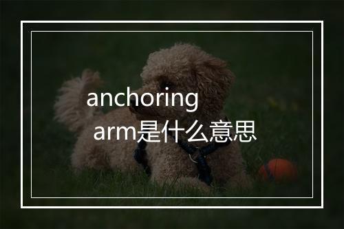 anchoring arm是什么意思