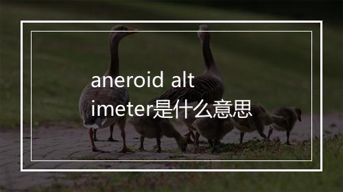 aneroid altimeter是什么意思