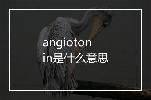 angiotonin是什么意思