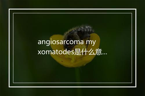 angiosarcoma myxomatodes是什么意思