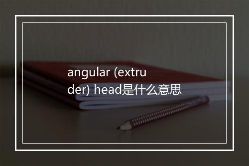 angular (extruder) head是什么意思