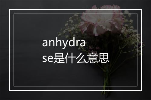 anhydrase是什么意思