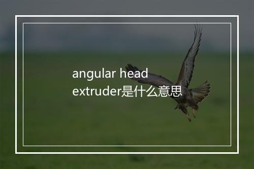 angular head extruder是什么意思