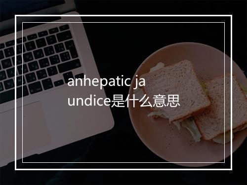 anhepatic jaundice是什么意思