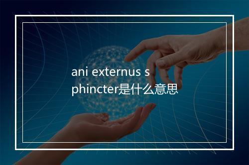 ani externus sphincter是什么意思