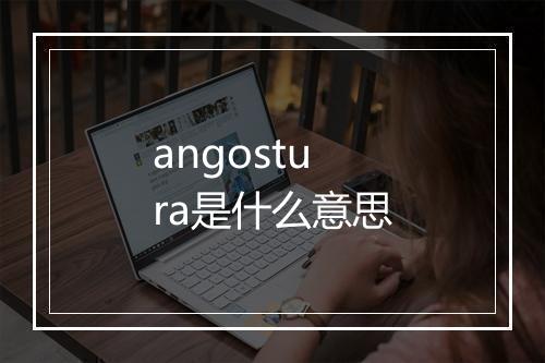 angostura是什么意思