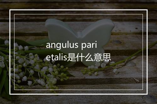 angulus parietalis是什么意思