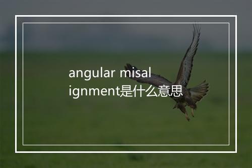 angular misalignment是什么意思