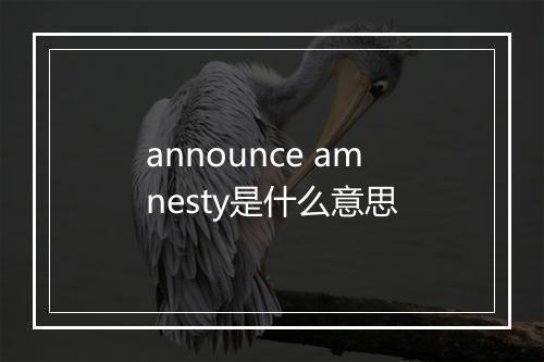 announce amnesty是什么意思