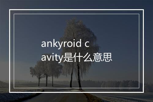 ankyroid cavity是什么意思