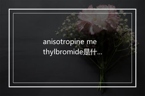 anisotropine methylbromide是什么意思